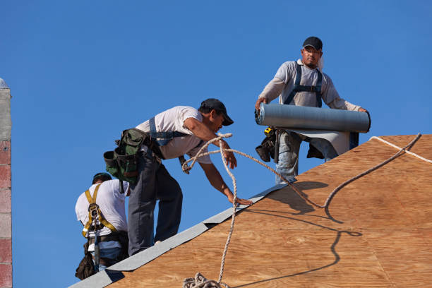 Best Gutter Installation and Roofing  in Hollywood, FL